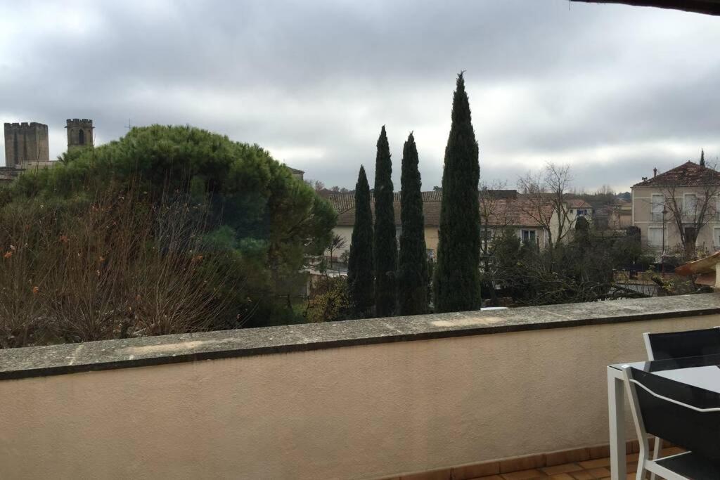 Duplex Lumineux Sur Gde Terrasse, Balneo Double, Parking Prive, Clim, Local Velos Entraigues-sur-la-Sorgue Exterior foto