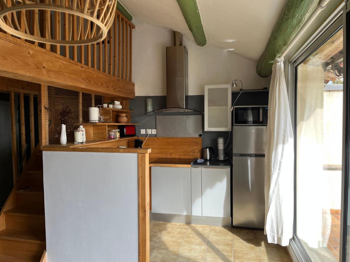 Duplex Lumineux Sur Gde Terrasse, Balneo Double, Parking Prive, Clim, Local Velos Entraigues-sur-la-Sorgue Exterior foto
